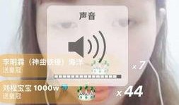 快手个人资料大全唯美,个人资料大全中的璀璨星辰