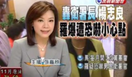 张嘉欣女主播图片
