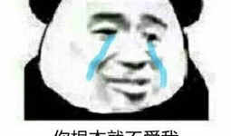 不爱我的图片,情感裂痕下的心灵独白