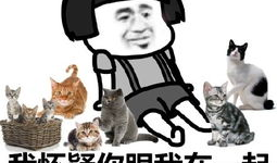 不爱我的图片,情感裂痕下的心灵独白