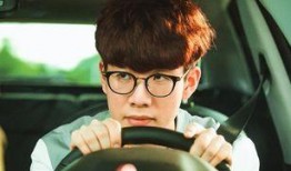 敖厂长家庭背景,出身名门，传承家族荣耀的科技奇才