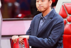 王昱珩家世背景,出身名门，智慧传承的传奇人生