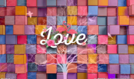 网红白小白背景6