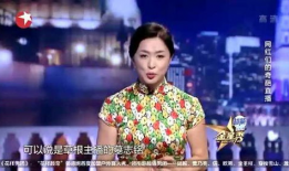 金星秀说网红,网红背后的秘密与魅力