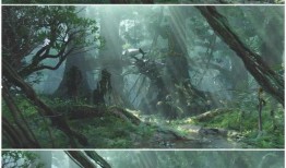 原始森林背景视频,自然奇观与生态奥秘的视觉之旅