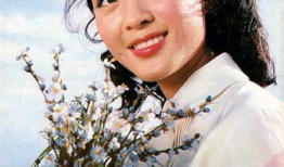 80年的明星有哪些