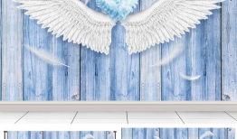 网红白小白背景6