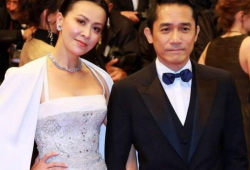 现在娱乐圈谁最有地位,揭秘当红明星的权势与影响力