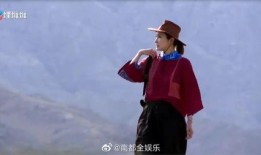 陈贝儿个人资料,从电视主持人到社会观察者的人生旅程