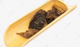 杜仲个人资料,中医药领域的杰出代表与传承者