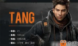 唐号的背景,追溯千年古韵，探寻丝绸之路的传奇足迹