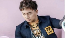 明星四条龙,闪耀娱乐圈的璀璨星河