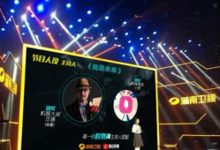 娱乐访谈主持稿,访谈主持稿中的精彩瞬间