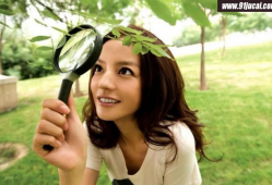 赵薇在娱乐圈的地位,娱乐圈的璀璨明星与影响力传奇